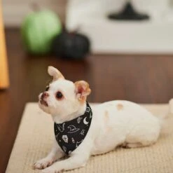 Frisco Glow In The Dark Mystical Print Dog & Cat Bandana -Cat Supplies 261218 PT5. AC SS1800 V1633057869