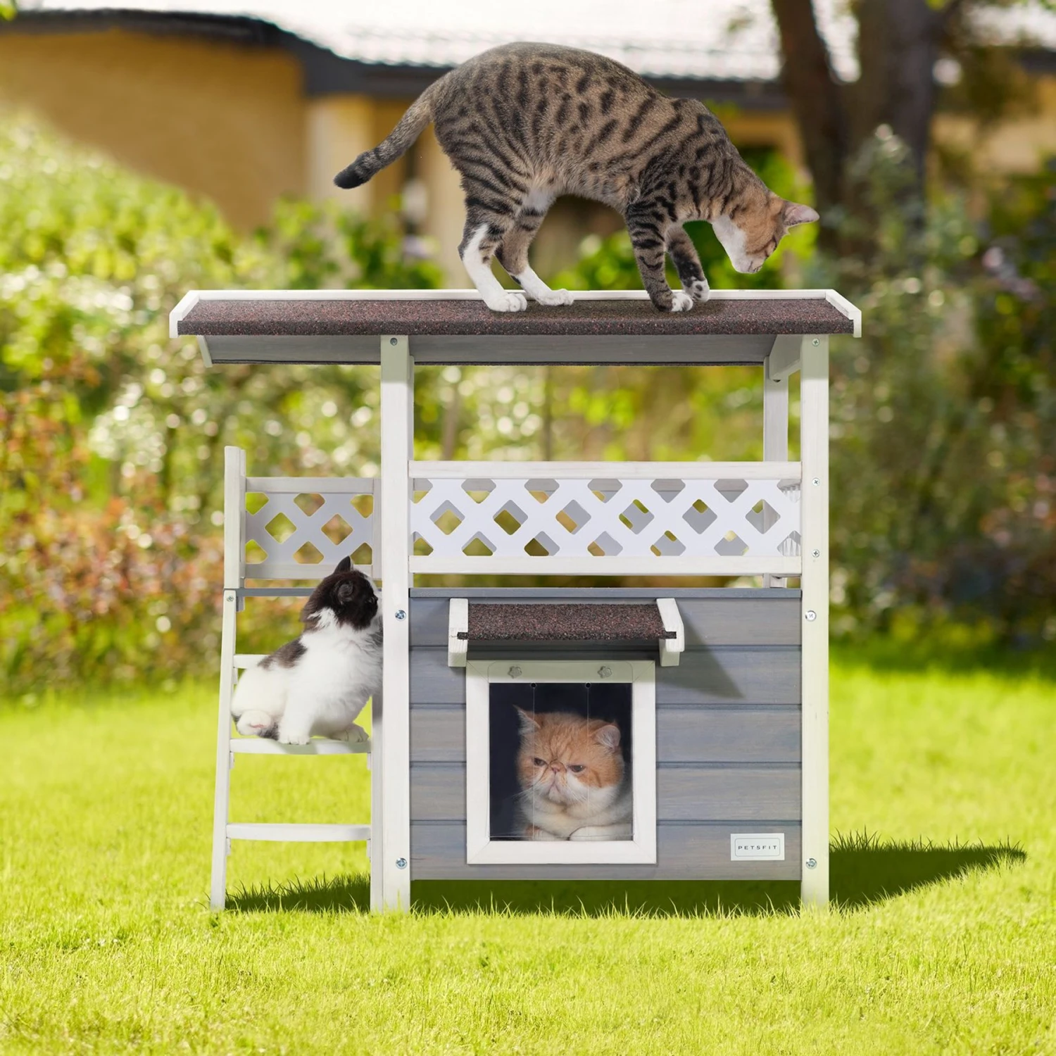 Petsfit Outdoor Cat House 7 Petsfit Outdoor Cat House - Image 5