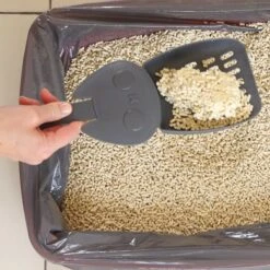 Rufus & Coco Wee Kitty Unscented Clumping Corn Cat Litter -Cat Supplies 261674 PT4. AC SS1800 V1605652317