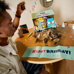 Goody Box Birthday Cat Toys, Treats & Collar -Cat Supplies 264415 PT2. AC SS1800 V1678387796