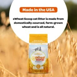SWheat Scoop Easy Maintenance Clumping Wheat-Corn Cat Litter 18 SWheat Scoop Easy Maintenance Clumping Wheat-Corn Cat Litter -Cat Supplies 264463 PT7. AC SS1800 V1667517555