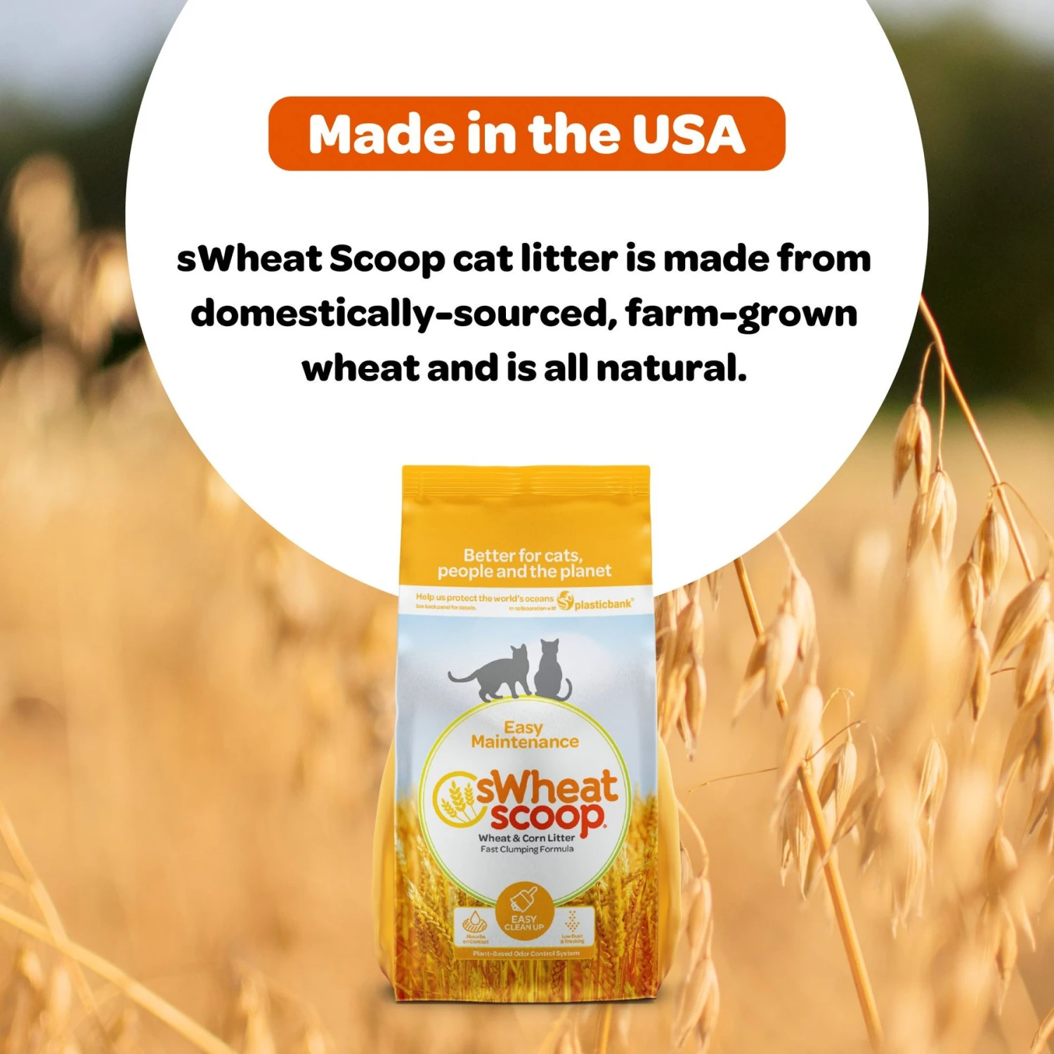 SWheat Scoop Easy Maintenance Clumping Wheat-Corn Cat Litter 10 SWheat Scoop Easy Maintenance Clumping Wheat-Corn Cat Litter - Image 8