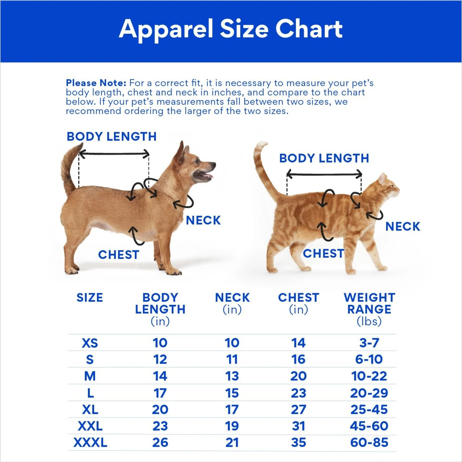 Disney Cinderella "Dreams Come True" Dog & Cat Sweatshirt Dress 4 Disney Cinderella "Dreams Come True" Dog & Cat Sweatshirt Dress - Image 2