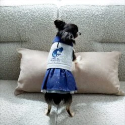 Disney Cinderella "Dreams Come True" Dog & Cat Sweatshirt Dress 18 Disney Cinderella "Dreams Come True" Dog & Cat Sweatshirt Dress -Cat Supplies 264640 PT7. AC SS1800 V1637729522