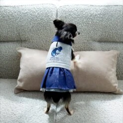 Disney Cinderella "Dreams Come True" Dog & Cat Sweatshirt Dress 19 Disney Cinderella "Dreams Come True" Dog & Cat Sweatshirt Dress -Cat Supplies 264640 PT8. AC SS1800 V1629487173