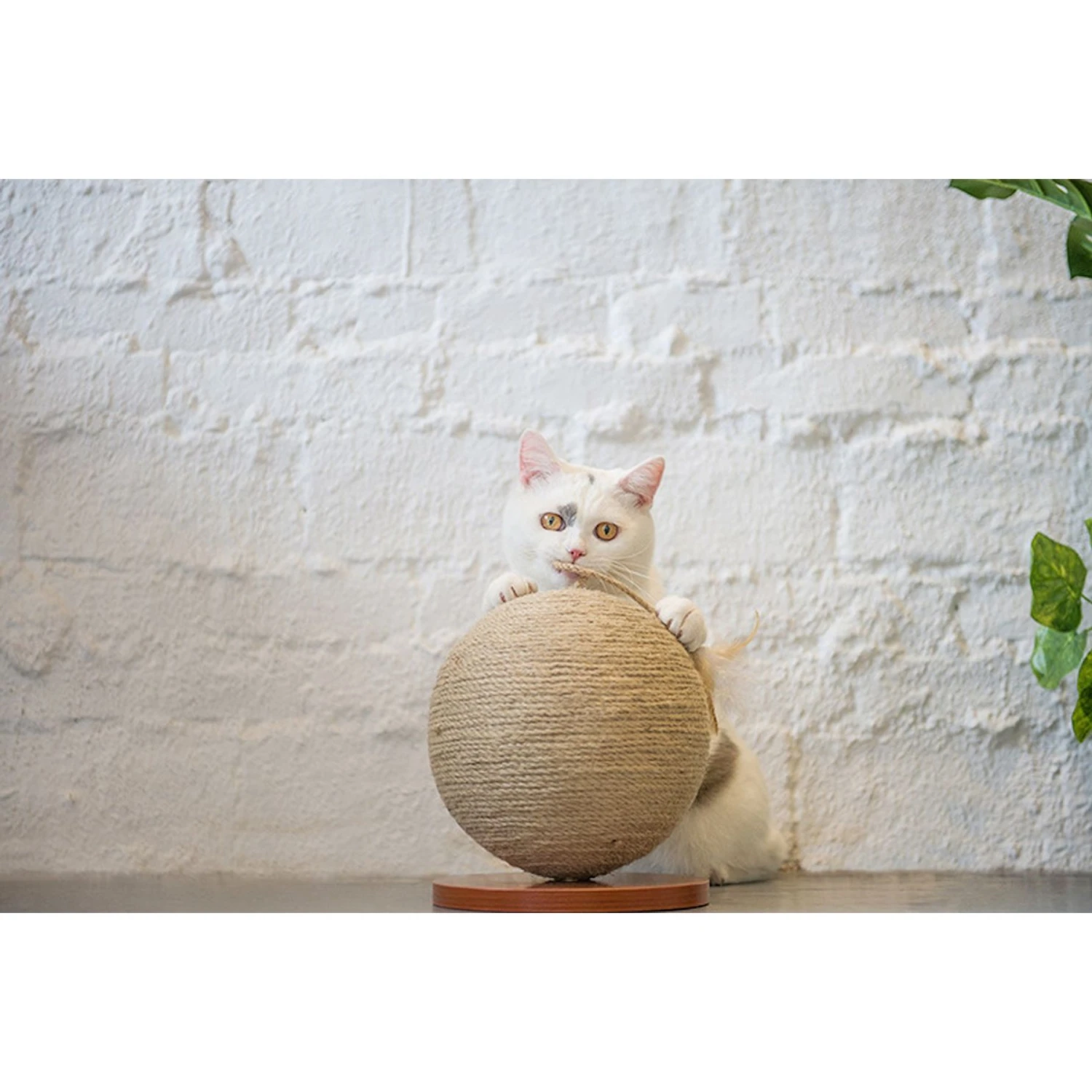 ZEZE Woven Rope Ball Cat Scratcher 3 ZEZE Woven Rope Ball Cat Scratcher