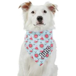 Frisco Watermelons Personalized Dog & Cat Bandana 17 Frisco Watermelons Personalized Dog & Cat Bandana -Cat Supplies 267458 PT6. AC SS1800 V1632432415