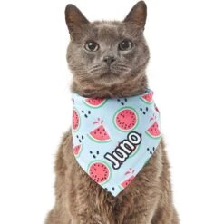 Frisco Watermelons Personalized Dog & Cat Bandana 18 Frisco Watermelons Personalized Dog & Cat Bandana -Cat Supplies 267458 PT7. AC SS1800 V1632432684