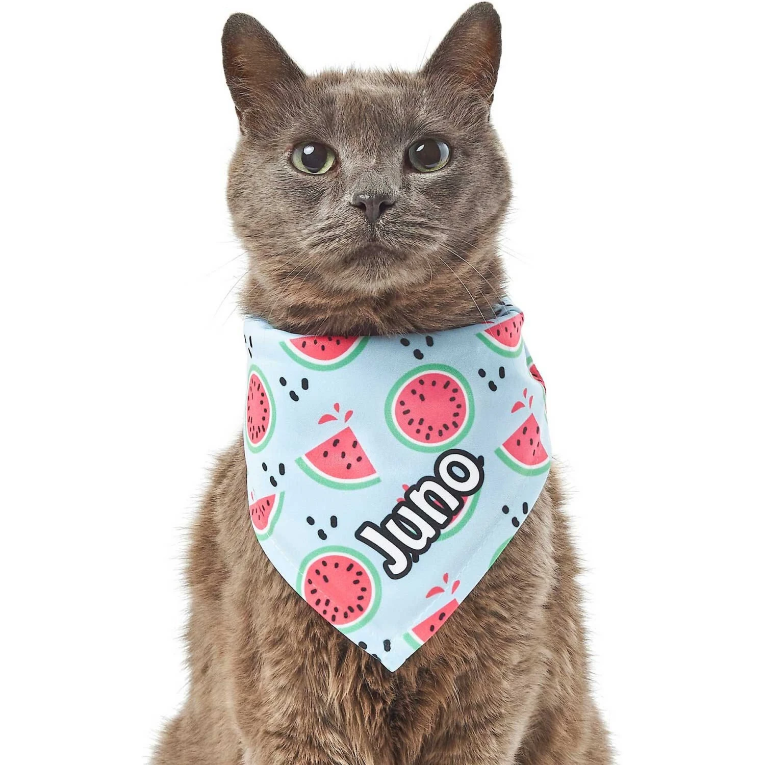 Frisco Watermelons Personalized Dog & Cat Bandana 10 Frisco Watermelons Personalized Dog & Cat Bandana - Image 8