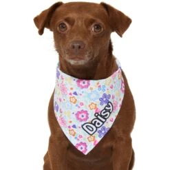 Frisco Bright Floral Personalized Dog & Cat Bandana 16 Frisco Bright Floral Personalized Dog & Cat Bandana -Cat Supplies 267535 PT7. AC SS1800 V1623164573