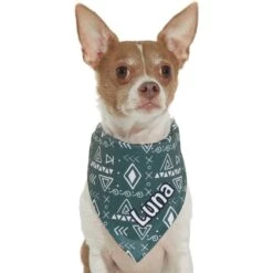 Frisco Boho Geo Personalized Dog & Cat Bandana -Cat Supplies 267559 PT7. AC SS1800 V1623164863