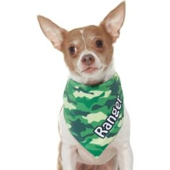 Frisco Green Camo Personalized Dog & Cat Bandana -Cat Supplies 267563 PT7. AC SS1800 V1623182085