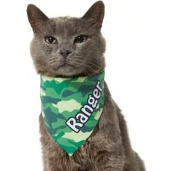 Frisco Green Camo Personalized Dog & Cat Bandana -Cat Supplies 267563 PT8. AC SS1800 V1623182074