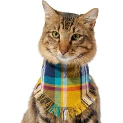 Frisco Blue/Yellow Plaid Dog & Cat Flannel Bandana -Cat Supplies 267901 PT3. AC SS1800 V1637677287