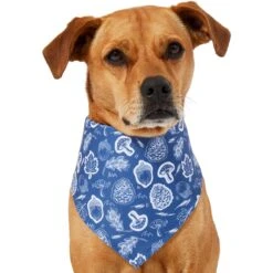Frisco Fall Vibes Dog & Cat Bandana 12 Frisco Fall Vibes Dog & Cat Bandana -Cat Supplies 267913 PT2. AC SS1800 V1637722647