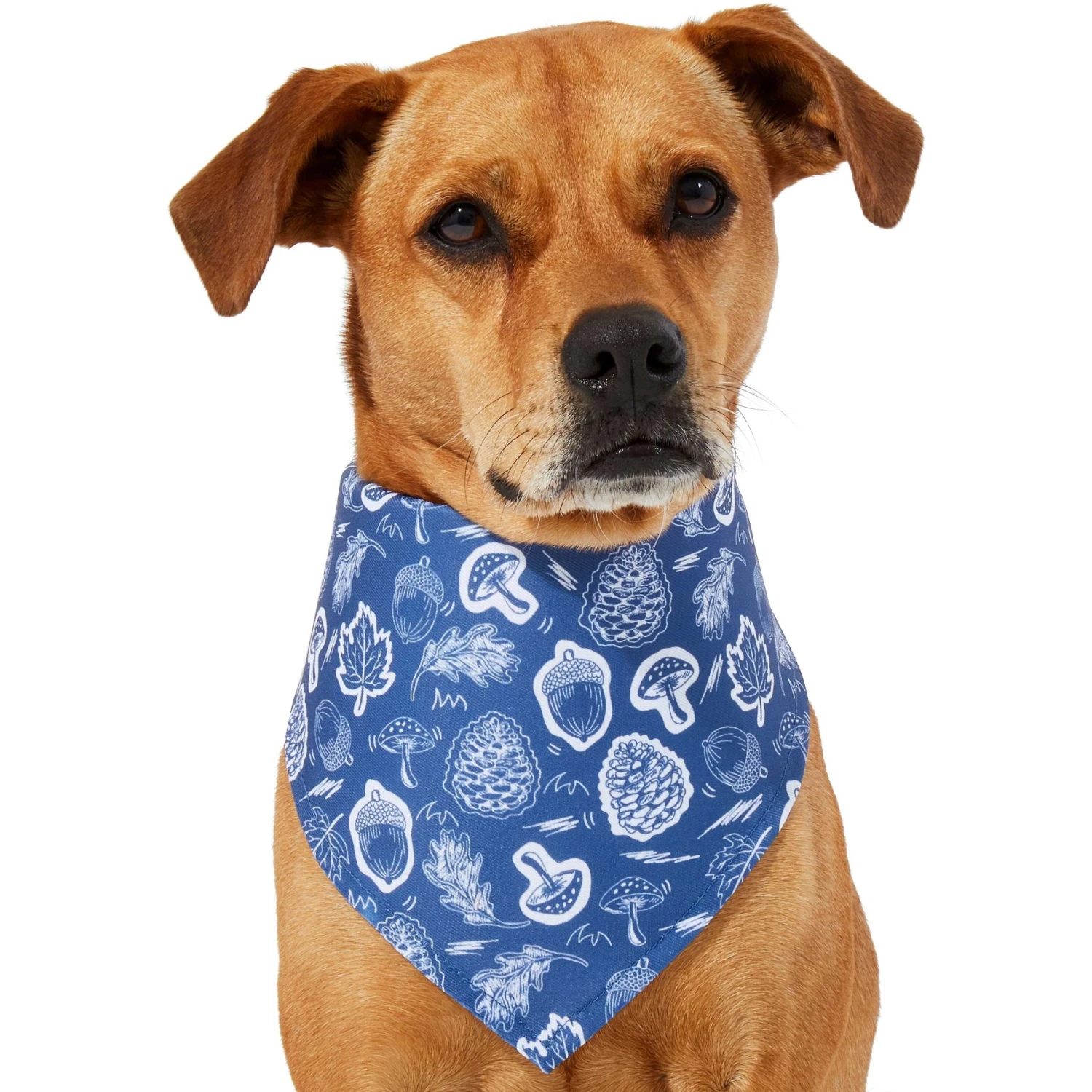 Frisco Fall Vibes Dog & Cat Bandana 5 Frisco Fall Vibes Dog & Cat Bandana - Image 3
