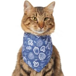 Frisco Fall Vibes Dog & Cat Bandana 13 Frisco Fall Vibes Dog & Cat Bandana -Cat Supplies 267913 PT3. AC SS1800 V1637729806