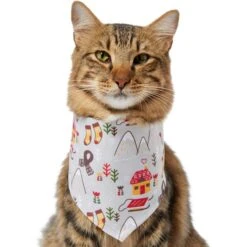 Frisco Wintry Vibes Dog & Cat Bandana 13 Frisco Wintry Vibes Dog & Cat Bandana -Cat Supplies 267916 PT3. AC SS1800 V1637657814