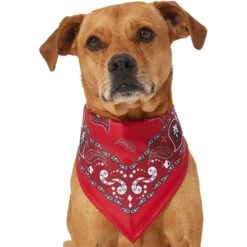 Frisco Red Paisley Dog & Cat Bandana 12 Frisco Red Paisley Dog & Cat Bandana -Cat Supplies 267919 PT2. AC SS1800 V1637669854