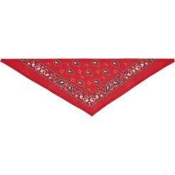 Frisco Red Paisley Dog & Cat Bandana 14 Frisco Red Paisley Dog & Cat Bandana -Cat Supplies 267919 PT4. AC SS1800 V1637674037