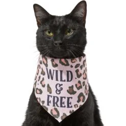 Frisco Pink Leopard Dog & Cat Bandana 13 Frisco Pink Leopard Dog & Cat Bandana -Cat Supplies 267922 PT3. AC SS1800 V1637687868