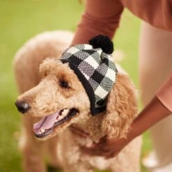 Frisco Plaid Dog & Cat Knitted Hat -Cat Supplies 267925 PT8. AC SS1800 V1629755603