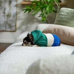 Frisco Colorblock Dog & Cat Hoodie With Sleeves 17 Frisco Colorblock Dog & Cat Hoodie With Sleeves -Cat Supplies 267968 PT8. AC SS1800 V1629760135