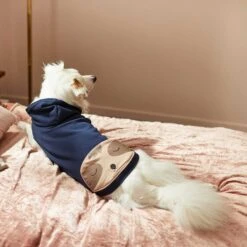 Frisco Sloth Pocket Dog & Cat Lightweight Hoodie -Cat Supplies 268018 PT6. AC SS1800 V1637730205