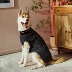 Frisco Heathered Knit Dog & Cat Sweater With 60% Recycled Content -Cat Supplies 268159 PT8. AC SS1800 V1629758773