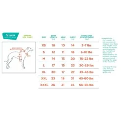 Frisco Mediumweight Colorblock Adventure Insulated Dog & Cat Parka 10 Frisco Mediumweight Colorblock Adventure Insulated Dog & Cat Parka -Cat Supplies 268421 PT1. AC SS1800 V1628641019