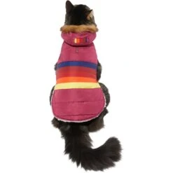 Frisco Mediumweight Colorblock Adventure Insulated Dog & Cat Parka 11 Frisco Mediumweight Colorblock Adventure Insulated Dog & Cat Parka -Cat Supplies 268421 PT2. AC SS1800 V1628779779
