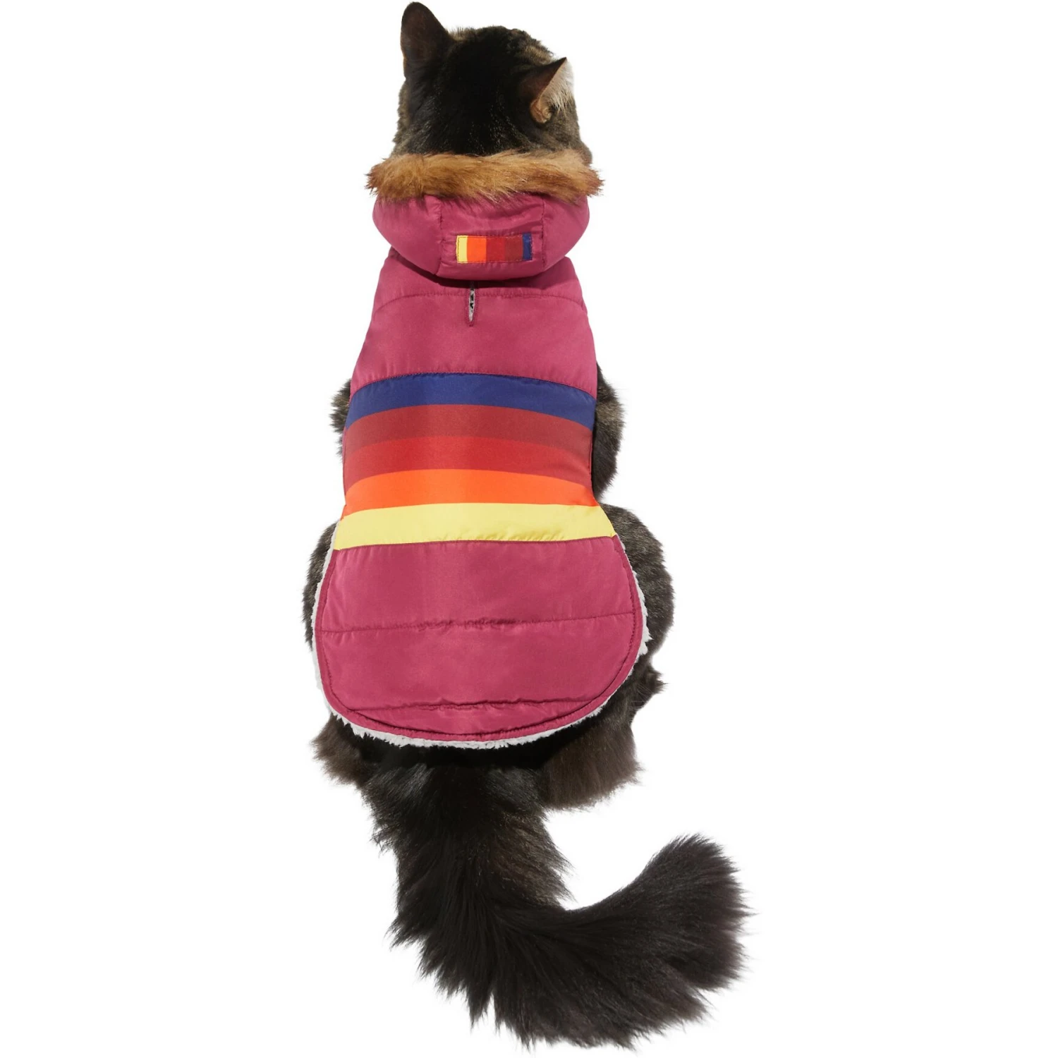 Frisco Mediumweight Colorblock Adventure Insulated Dog & Cat Parka 5 Frisco Mediumweight Colorblock Adventure Insulated Dog & Cat Parka - Image 3