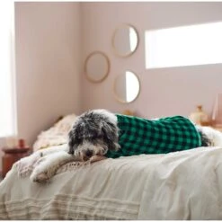 Frisco Dog & Cat Cozy Plush Fleece PJs, Green Plaid 14 Frisco Dog & Cat Cozy Plush Fleece PJs, Green Plaid -Cat Supplies 268517 PT5. AC SS1800 V1637644798