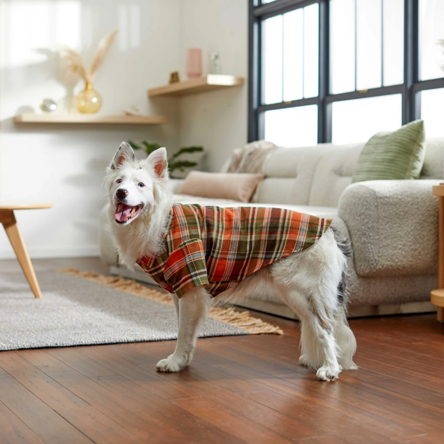 Frisco Orange & Olive Plaid Dog & Cat Flannel Shirt 10 Frisco Orange & Olive Plaid Dog & Cat Flannel Shirt - Image 8