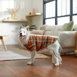 Frisco Orange & Olive Plaid Dog & Cat Flannel Shirt 19 Frisco Orange & Olive Plaid Dog & Cat Flannel Shirt -Cat Supplies 268612 PT8. AC SS1800 V1629759992