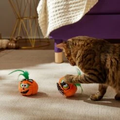Frisco Halloween Nerdy Jack-o-Lanterns Plush Cat Toy With Catnip, 2 Count -Cat Supplies 270313 PT3. AC SS1800 V1624824951