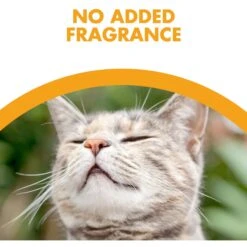 Feline Pine Platinum Natural Pine Cat Litter -Cat Supplies 272685 PT4. AC SS1800 V1663798048