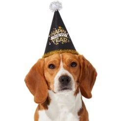 Frisco Happy New Year Dog & Cat Hat -Cat Supplies 276190 PT2. AC SS1800 V1631303599