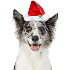 Frisco Holiday Poms Dog & Cat Santa Hat 9 Frisco Holiday Poms Dog & Cat Santa Hat -Cat Supplies 276194 PT2. AC SS1800 V1631303507
