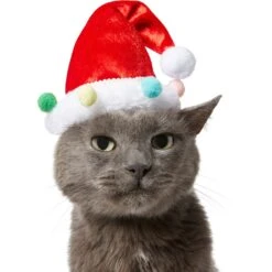 Frisco Holiday Poms Dog & Cat Santa Hat 10 Frisco Holiday Poms Dog & Cat Santa Hat -Cat Supplies 276194 PT3. AC SS1800 V1631303179