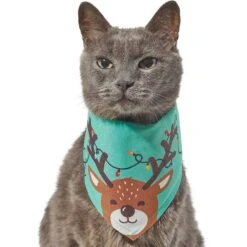 Frisco Peekaboo Reindeer Dog & Cat Bandana -Cat Supplies 276198 PT2. AC SS1800 V1637646741