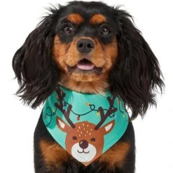 Frisco Peekaboo Reindeer Dog & Cat Bandana -Cat Supplies 276198 PT3. AC SS1800 V1637687013