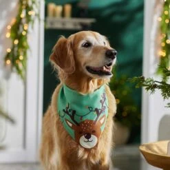 Frisco Peekaboo Reindeer Dog & Cat Bandana -Cat Supplies 276198 PT5. AC SS1800 V1637644939