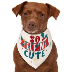 Frisco So Elf'n Cute Dog & Cat Bandana -Cat Supplies 276276 PT2. AC SS1800 V1637682999