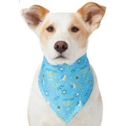 Frisco Festive Hanukkah Dog & Cat Bandana -Cat Supplies 276282 PT3. AC SS1800 V1637673704