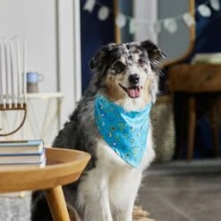 Frisco Festive Hanukkah Dog & Cat Bandana -Cat Supplies 276282 PT5. AC SS1800 V1637653030