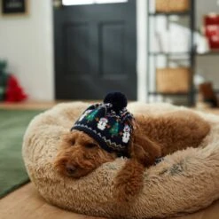 Frisco Jolly Snowman Dog & Cat Knitted Hat 11 Frisco Jolly Snowman Dog & Cat Knitted Hat -Cat Supplies 276303 PT8. AC SS1800 V1631300384