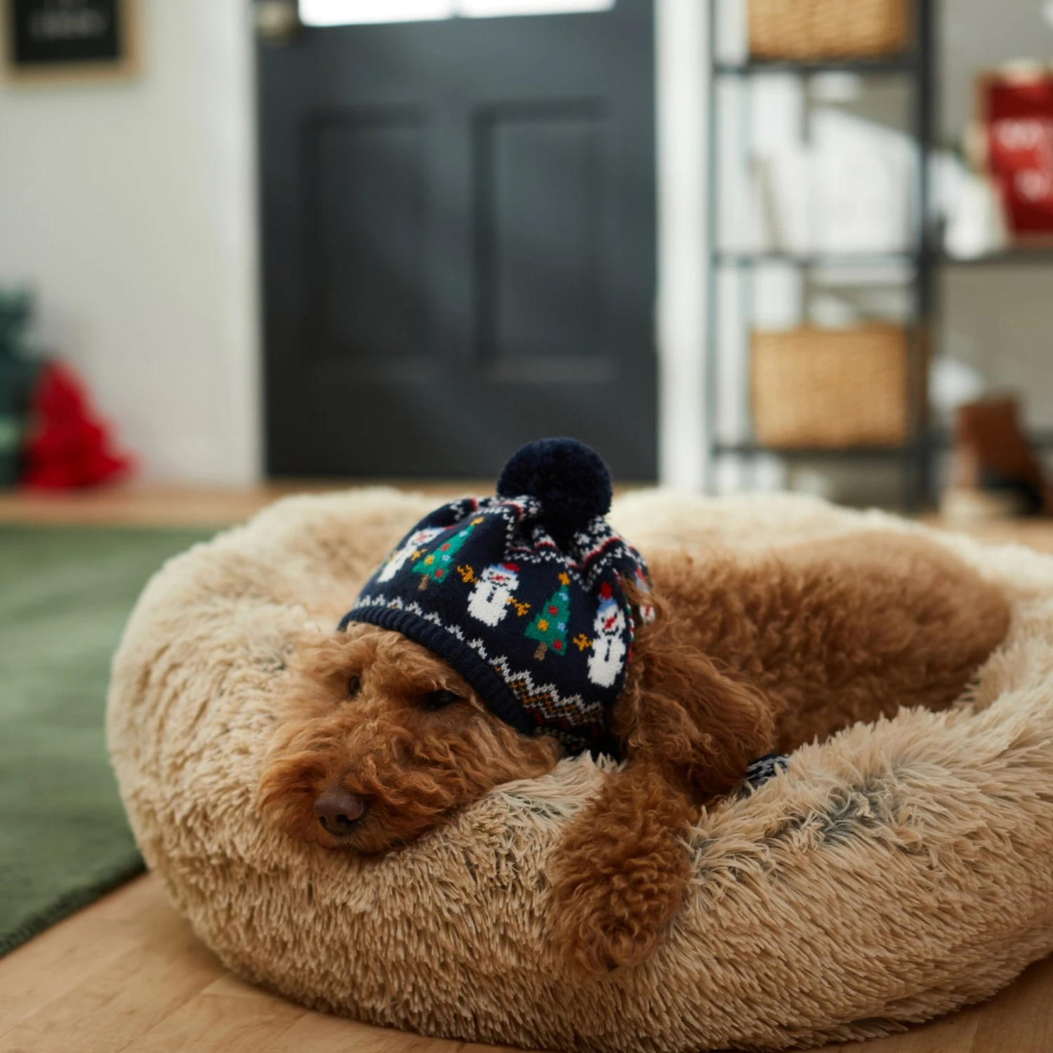 Frisco Jolly Snowman Dog & Cat Knitted Hat 7 Frisco Jolly Snowman Dog & Cat Knitted Hat - Image 5