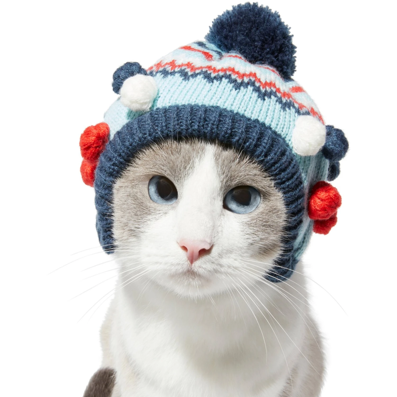 Frisco Pom Pom Dog & Cat Knitted Hat 6 Frisco Pom Pom Dog & Cat Knitted Hat - Image 4