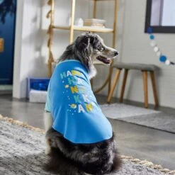 Frisco Happy Hanukkah Dog & Cat T-shirt -Cat Supplies 276480 PT5. AC SS1800 V1637646712